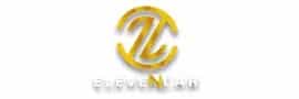 Eleven car logo