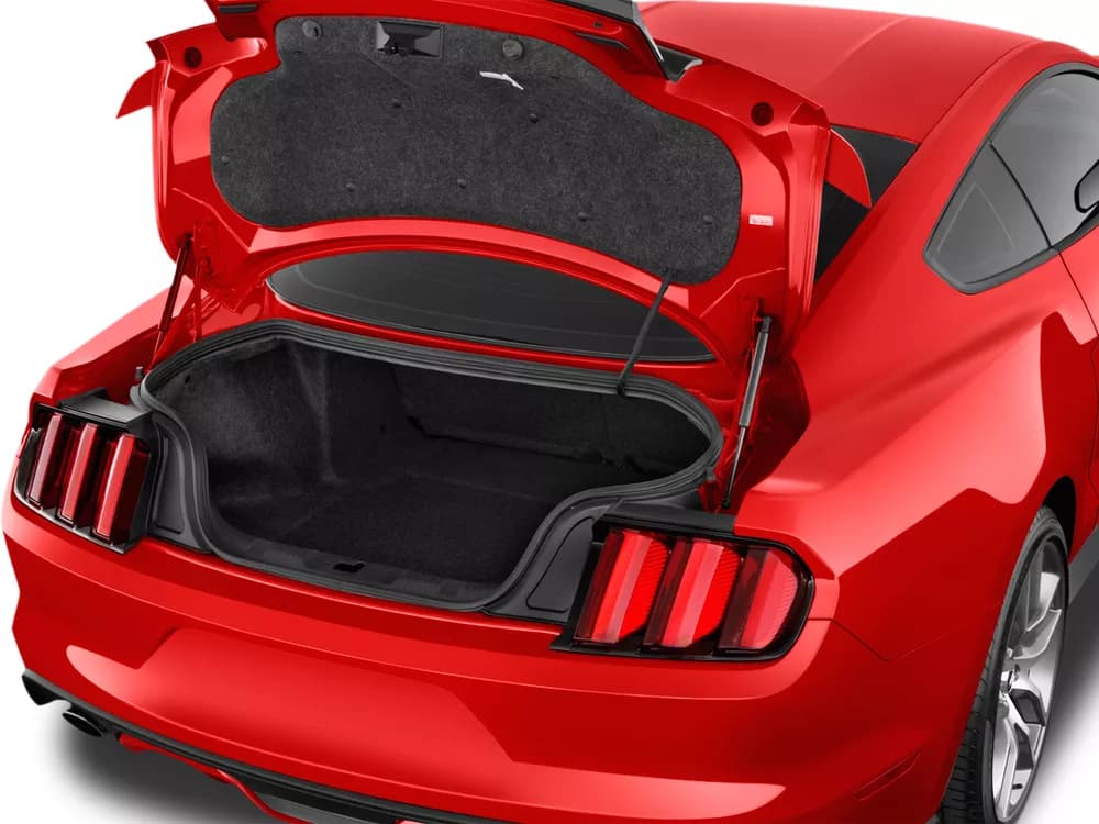 Mustang