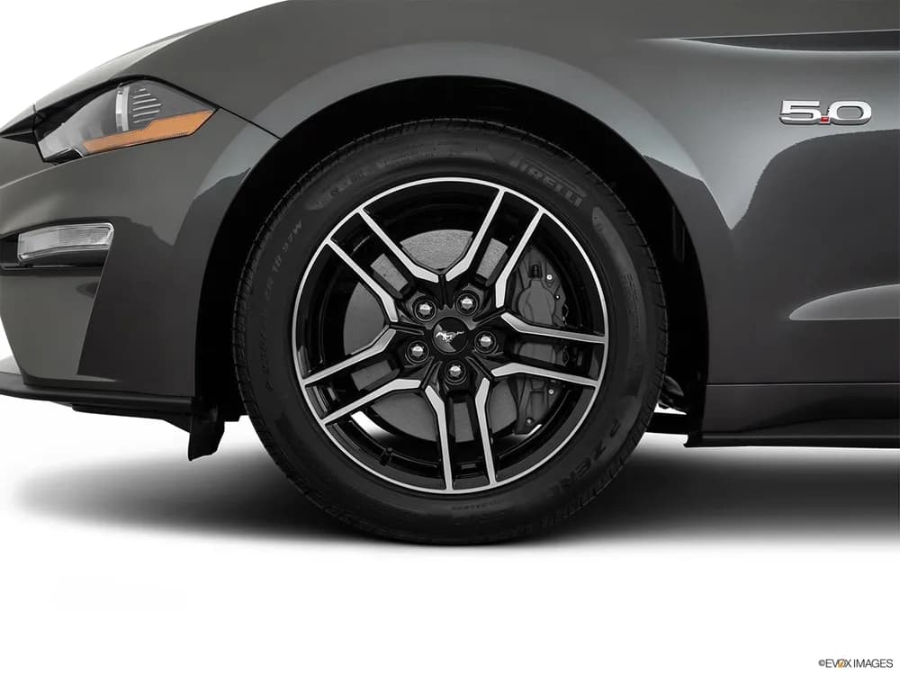 Mustang