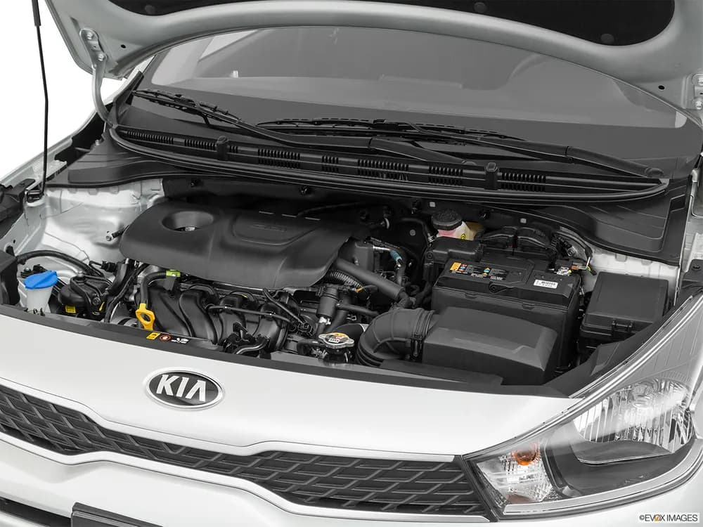 ريو هاتشباك