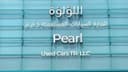 Pearl Used Cars TR.. LLC Pearl Used Cars TR.. LLC