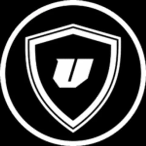 Vault Detailing logo