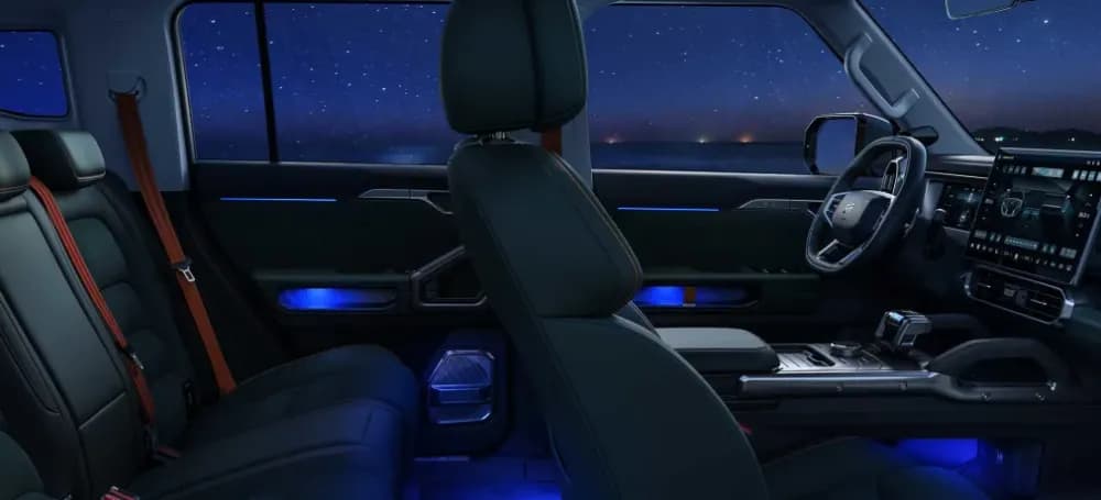 T2