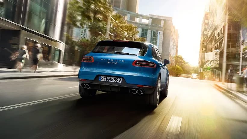 Macan