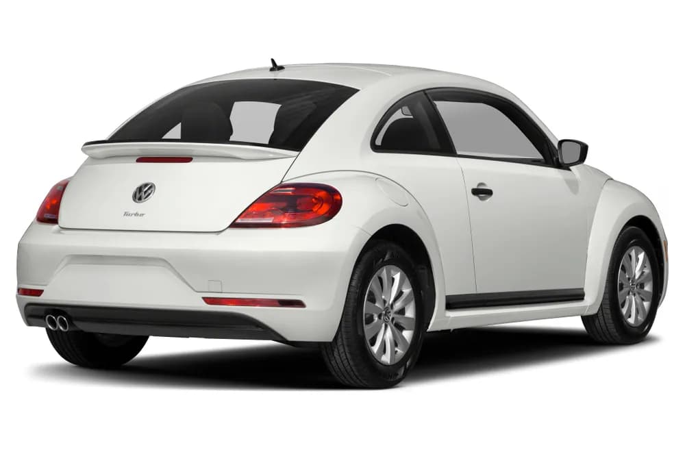 Beetle