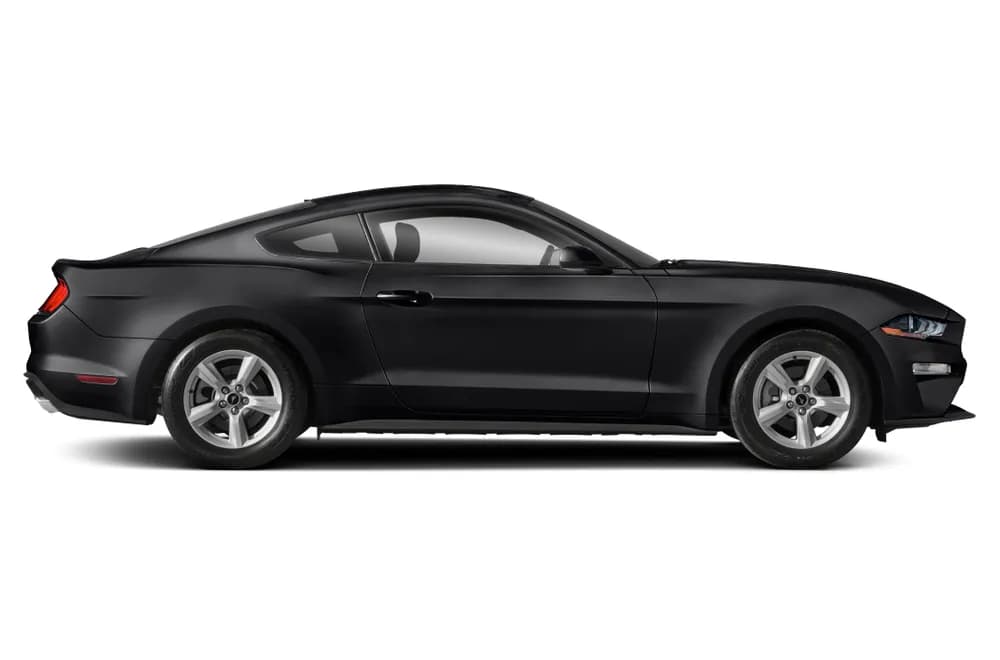 Mustang