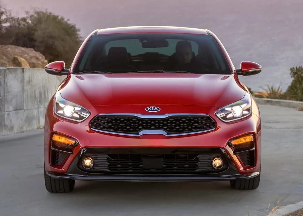 Cerato