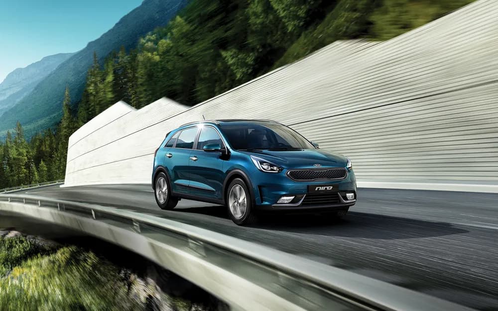 Niro