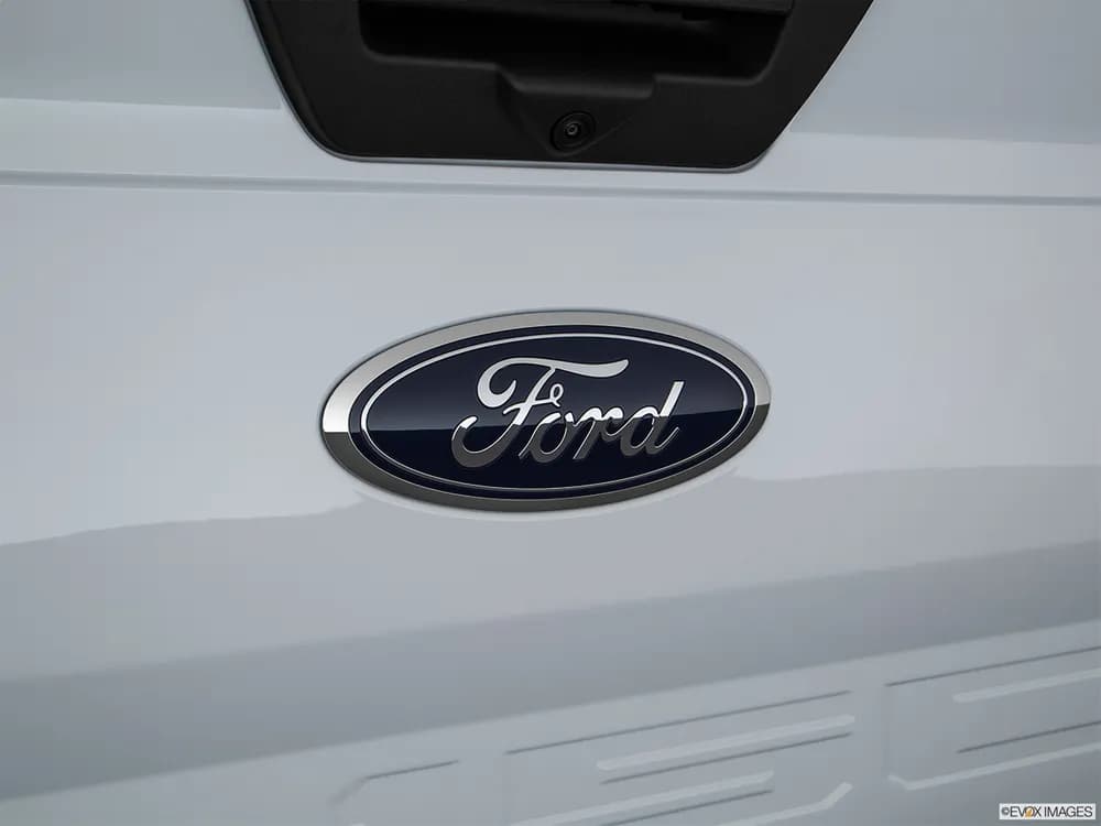 Ford F-150 2019 5.0L Regular Cab XLT