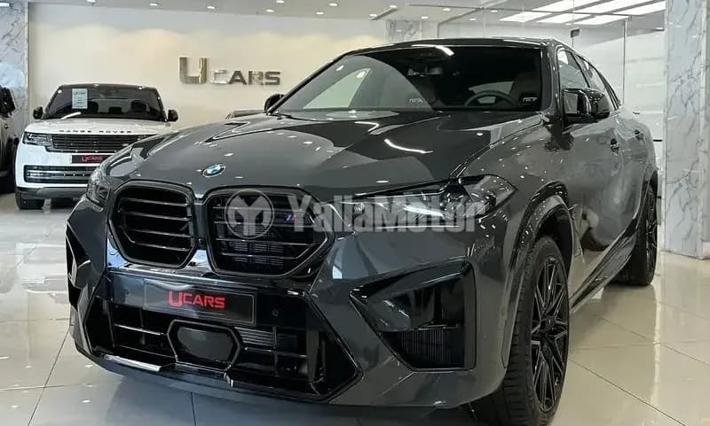 New BMW X6 2025 New BMW X6 2025 used_cars.forSale