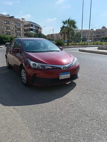 Used Toyota Corolla 1.6L GR 2019 Used Toyota Corolla 1.6L GR 2019 used_cars.forSale