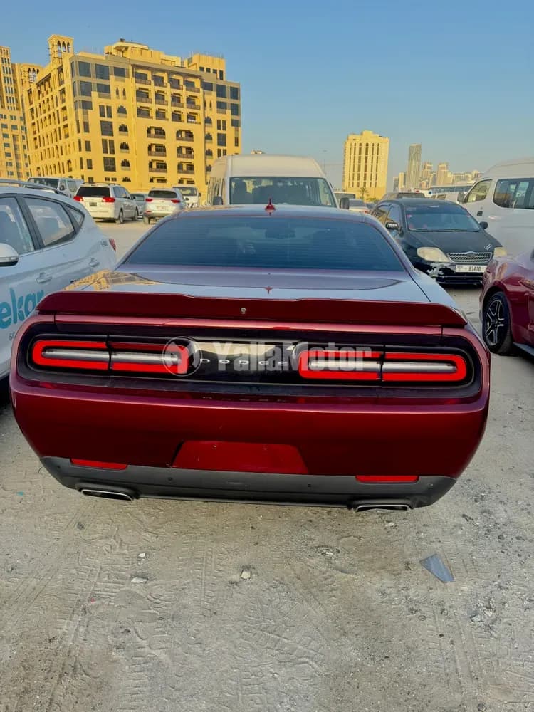 دودج تشالنجر 3.6L SXT 2019 مستعملة
