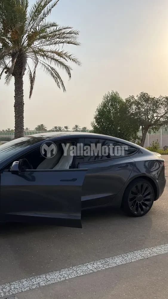 Used Tesla Model 3 Performance (AWD) 2021