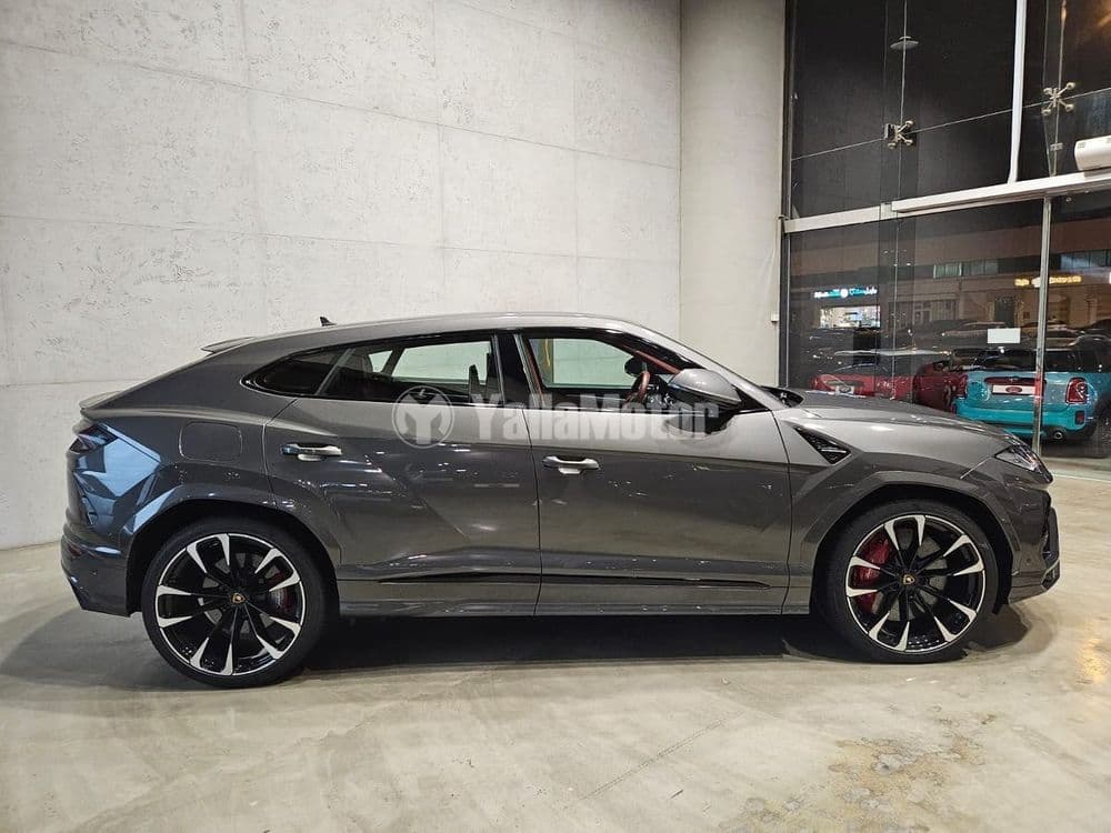 Used Lamborghini Urus 2021
