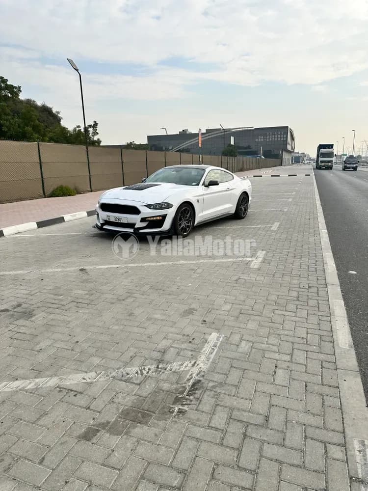 Used Ford Mustang 2.3L EcoBoost Coupe 2021