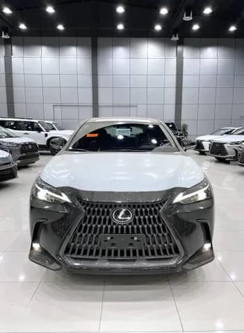 New Lexus NX 2024 New Lexus NX 2024 used_cars.forSale