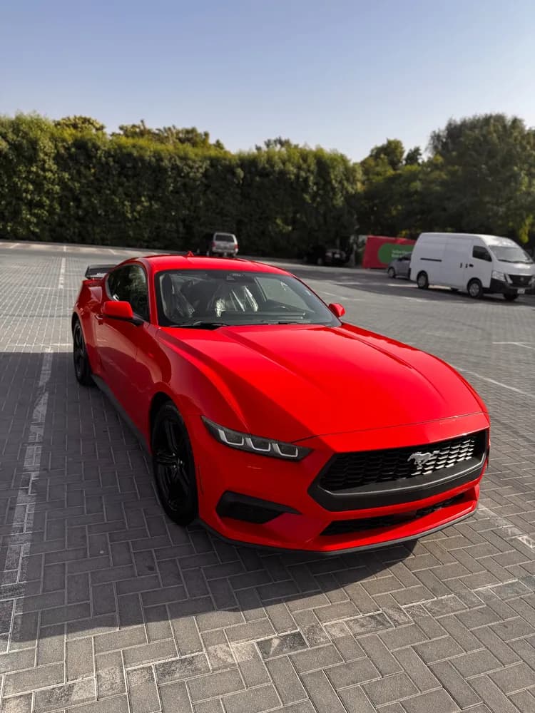 Used Ford Mustang 2.3L EcoBoost Fastback A/T 2024