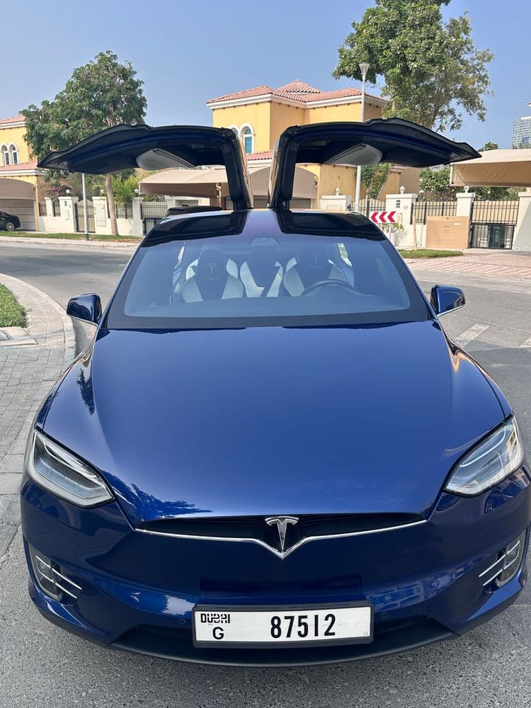 Used Tesla Model X 100D 2017