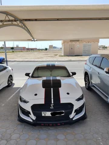 Used Ford Mustang 2.3L EcoBoost Coupe 2018 Used Ford Mustang 2.3L EcoBoost Coupe 2018 used_cars.forSale