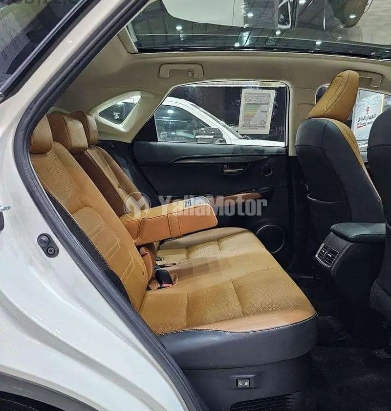 Used Lexus NX 2019