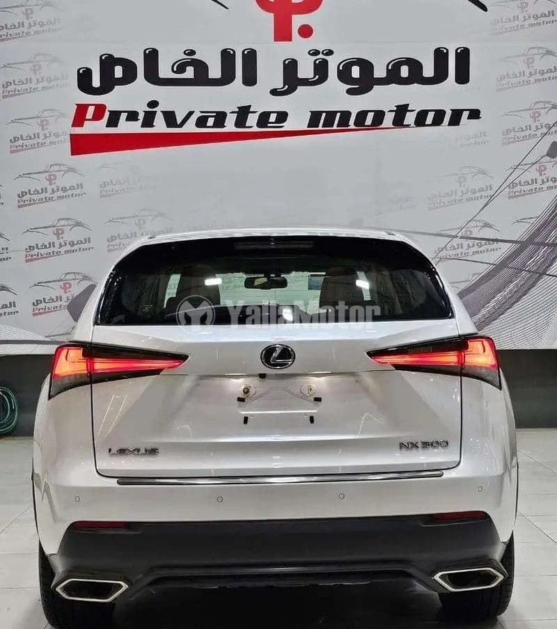 Used Lexus NX 2019