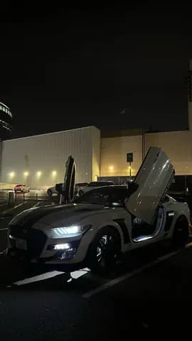 Used Ford Mustang 2.3L EcoBoost Coupe 2015 Used Ford Mustang 2.3L EcoBoost Coupe 2015 used_cars.forSale