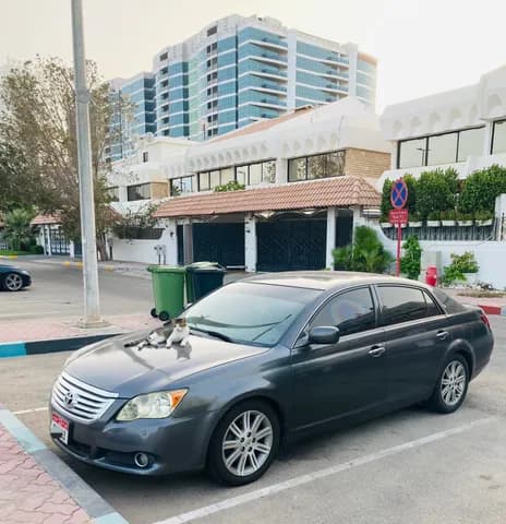 Used Toyota Avalon 3.5 Limited 2008 Used Toyota Avalon 3.5 Limited 2008 for sale