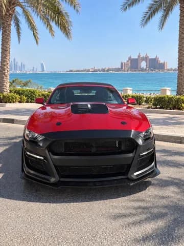 فورد موستانج 2.3L إيكوبووست مكشوفة 2019 مستعملة فورد موستانج 2.3L إيكوبووست مكشوفة 2019 مستعملة للبيع