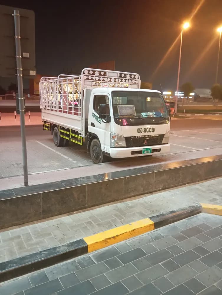 Used Mitsubishi Pickup 2013