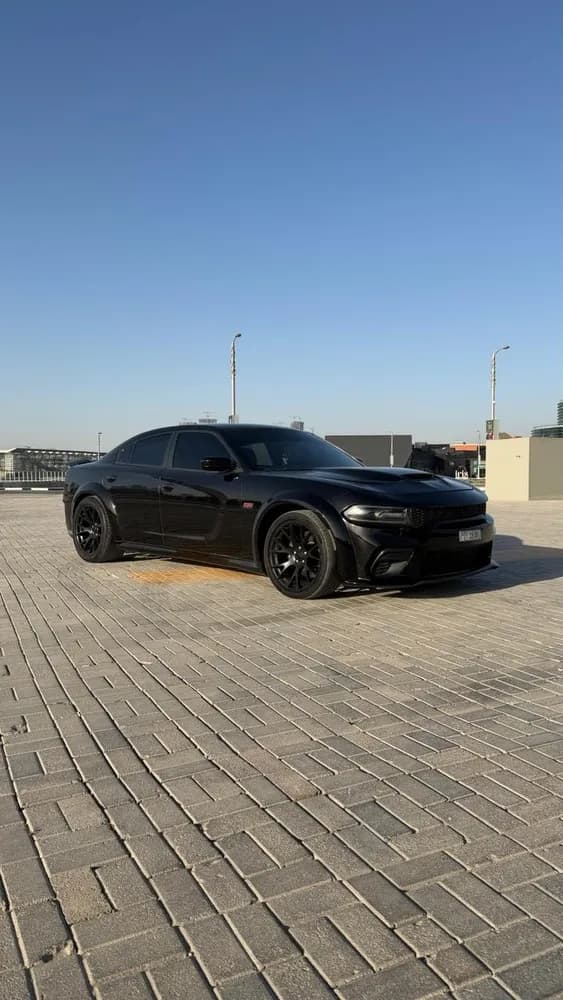 Used Dodge Charger 6.4L R/T Scatpack 2019