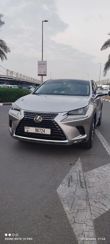 Used Lexus NX 300 Platinum 2019